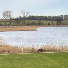 Første række til fjorden