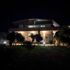 Vila megi-Rent Room