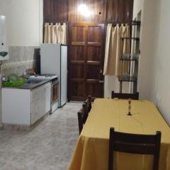 Dpto TURISTICO- céntrico - Aires Andinos