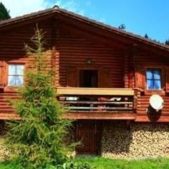 Ferienhaus für 4 Personen ca 70 qm in Falkertsee, Kärnten Oberkärnten