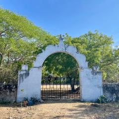 Entire Rustic Estate with Private Cenote & Gardens