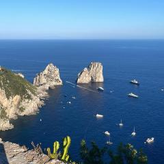 Il Merlo Capri