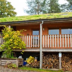 Denmark Farm Eco Lodge Lampeter