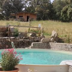 Eco Lodge nella natura Con Piscina privata "La Grande Quercia"