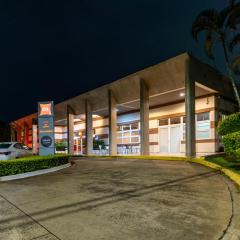 ibis Paulinia