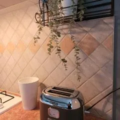 La maison aux iris