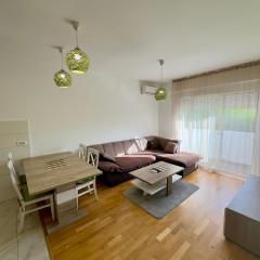 Cozy 1 bedroom APT with free parking