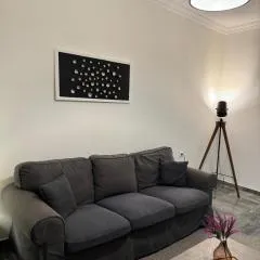 Central Elegant Flat