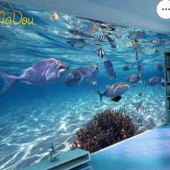 Oasis Wadaura - Vacation STAY 67363v