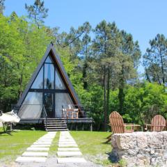 Vintage Cabin