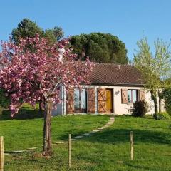 Maison charmante à Seigy, vue sur jardin, accepte animaux.