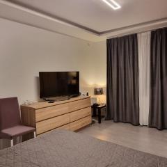 1 Room Apartment Plopeni