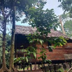Pondok Wisata kamtabai Forest Hut