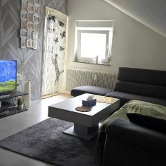 sunny City Apartment