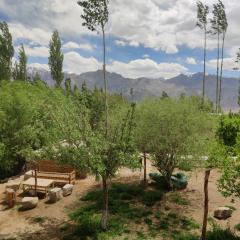 Mud House Phyang leh ladakh