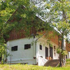 Ferienhaus Kellerstöckl Maja