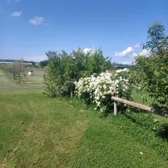 Agriturismo Il Cipresso