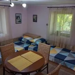 Lovely studio in Dragoman with garden and garage