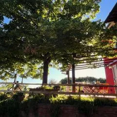 Podere Orzale Hospitality & Quarter Horses