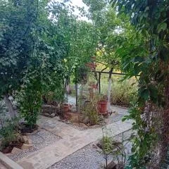 Vasiliki