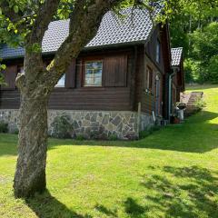 Blockhütte Engeln-Eifel