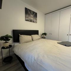 Spacious 3 bedroom Home, with private driveway 5 minutes from Excel Centre & Custom House