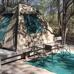 Hyenas howl campsite