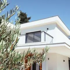 Villa Contemporaine Architecte