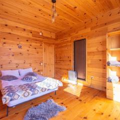 Ideal six-person villa for large families with pets, featuring barbecue and spacious yard Svaneti Сountryside 1