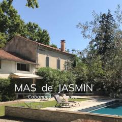 Mas de Jasmin with a private swimmingpool