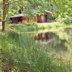 Chalet - gîte avec étang