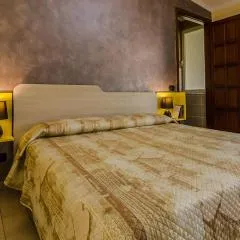 B&B AniMo
