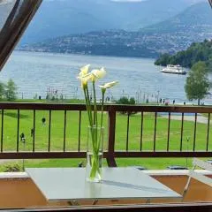 Lily Lake Maggiore