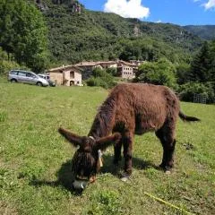 Mas La Cabanya Beget Xalet de muntanya