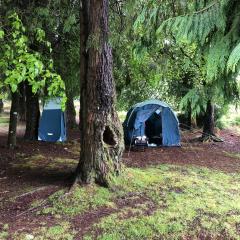 Tenda Photok Camping