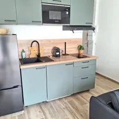 Studio rénové avec terrasse 40 m 2