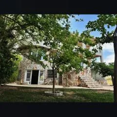 Mulberry house Nea makri