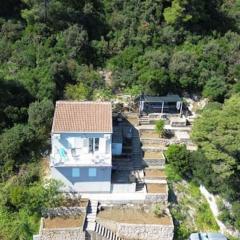 Green House apartments-studio