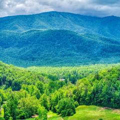 Grants Cottage, Pickleball Court, Creek, WIFI, Mountain Views, Starting at 79"