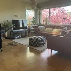 Großzügige Wohnung mit Flair und Aussicht