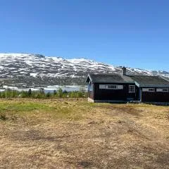 Pet Friendly Home In Ryfoss