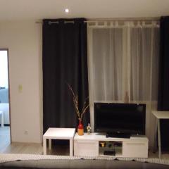 City Center Apartment 45m, 1 Bedroom and 1 Living Room with Kitchen plus Bathroom, a perfect Family Friendly Place or for Home Office and a longer Stay, a proper office desk with business chair provided, 100m from Market Square and Vistula River