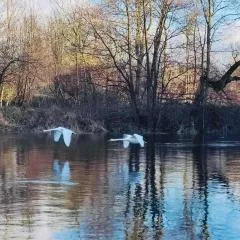 Nad Rzeczką