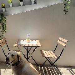 Private Home - Newly Renovated #8