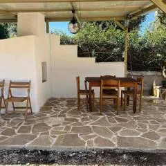 Traditional house with fresh vegetables garden