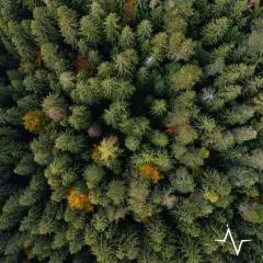 Placàt Eco Camping nel bosco
