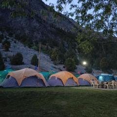 GUREZ CAMPSITE- WILDWOOD