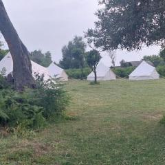 Riverside Bunec Camping