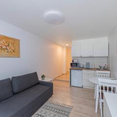 Partizanų studio apartment #3 by Polo Apartments