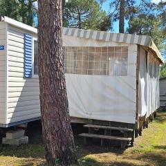 Mobil home La palmyre 8 Pers